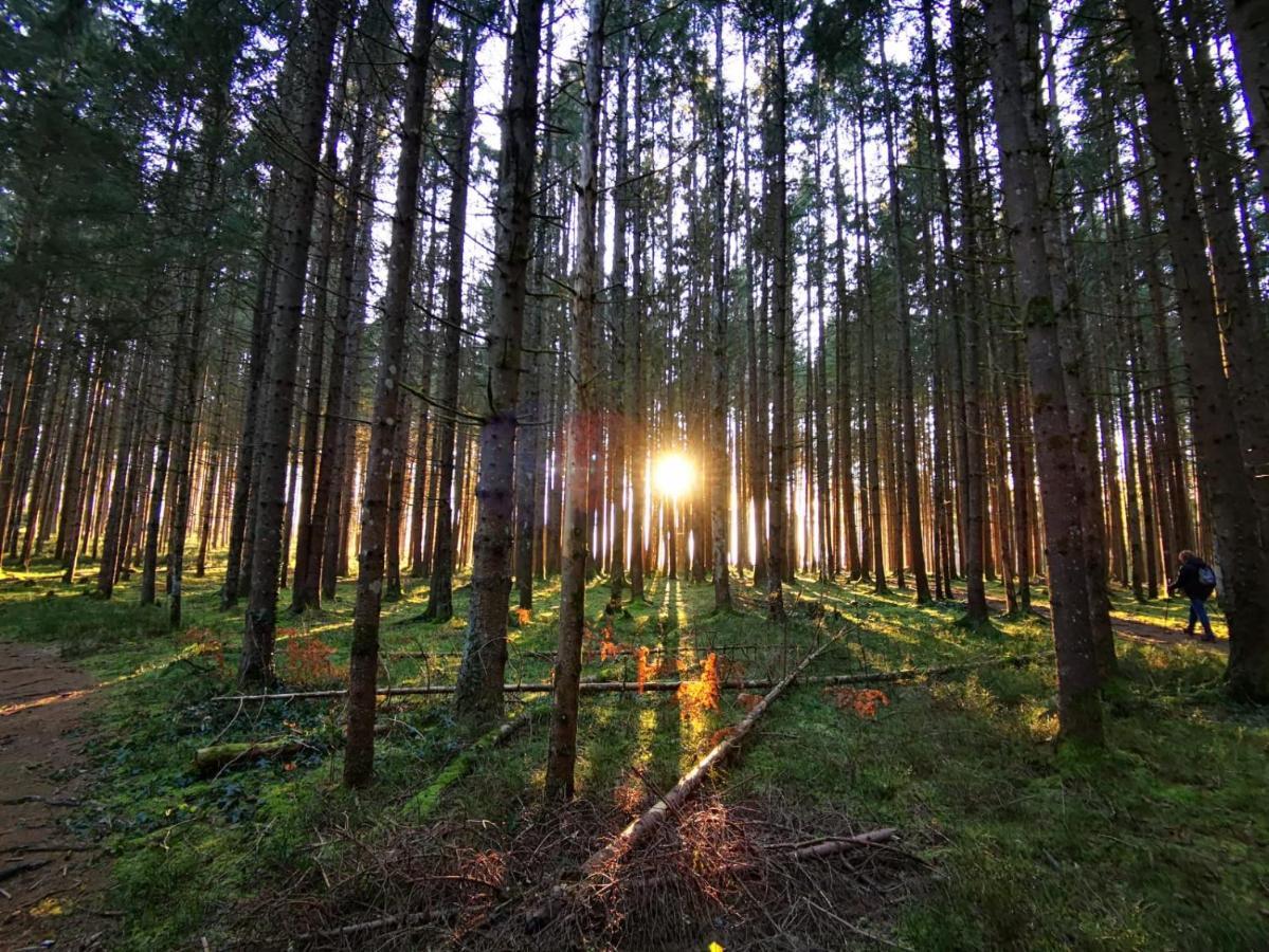 Landhotel Haeuserl Im Wald Grobming Exterior foto